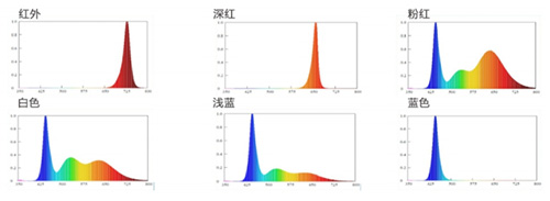 Z6尊龙官方网站(中国优质)股份有限公司