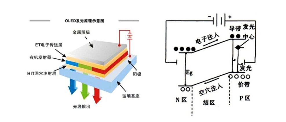 Z6尊龙官方网站(中国优质)股份有限公司