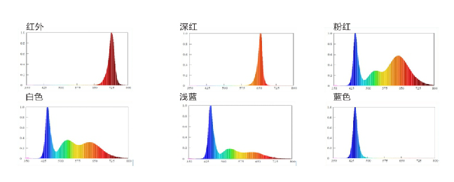 Z6尊龙官方网站(中国优质)股份有限公司