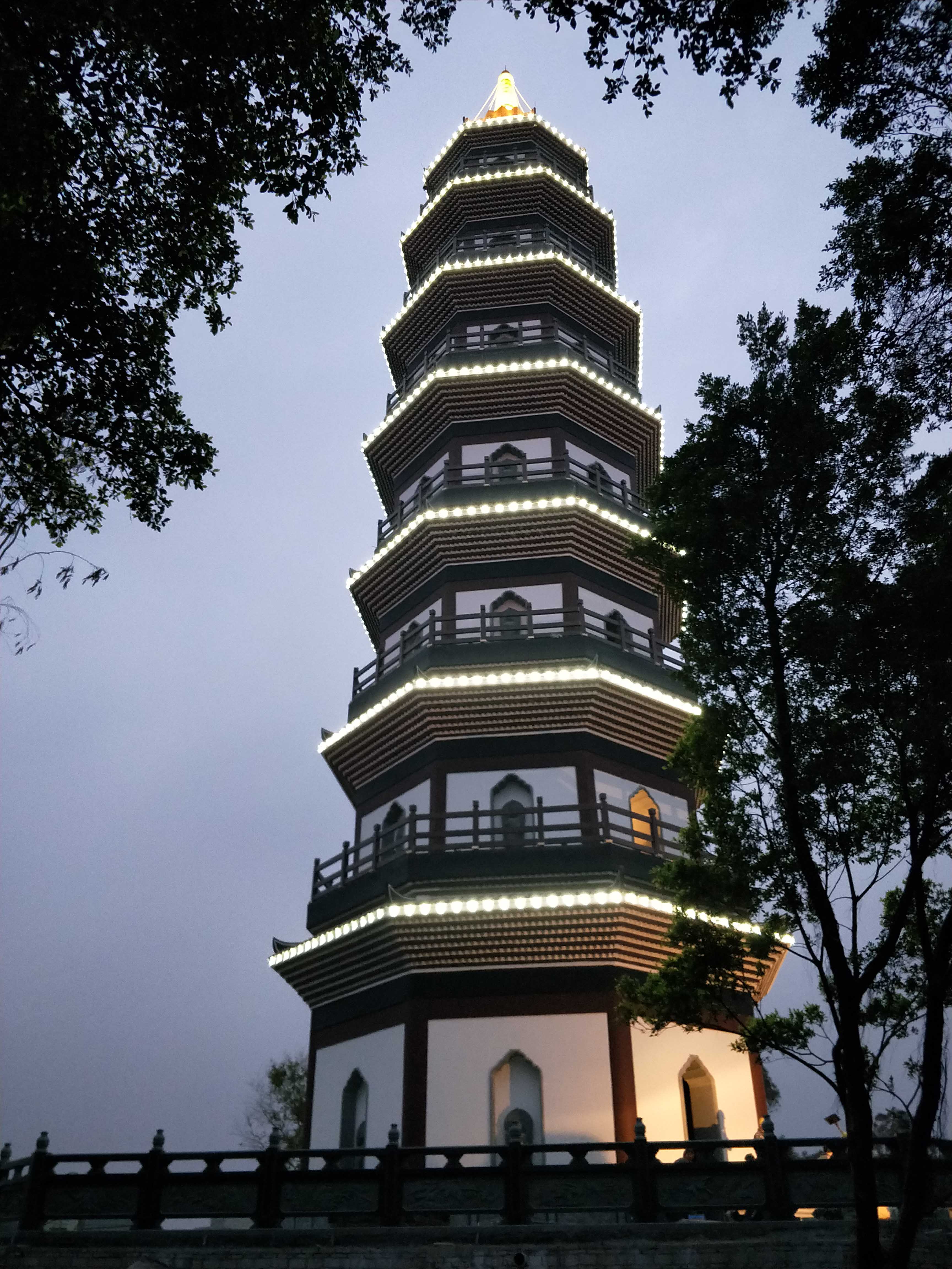 Z6尊龙官方网站(中国优质)股份有限公司