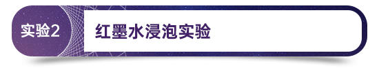 Z6尊龙官方网站(中国优质)股份有限公司
