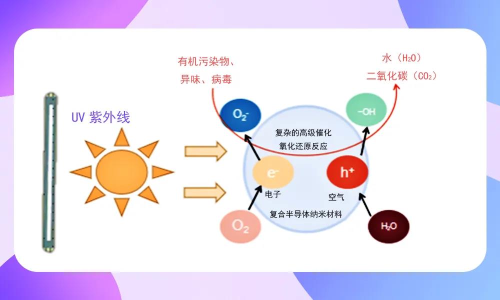 Z6尊龙官方网站(中国优质)股份有限公司
