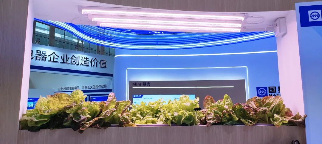 Z6尊龙官方网站(中国优质)股份有限公司