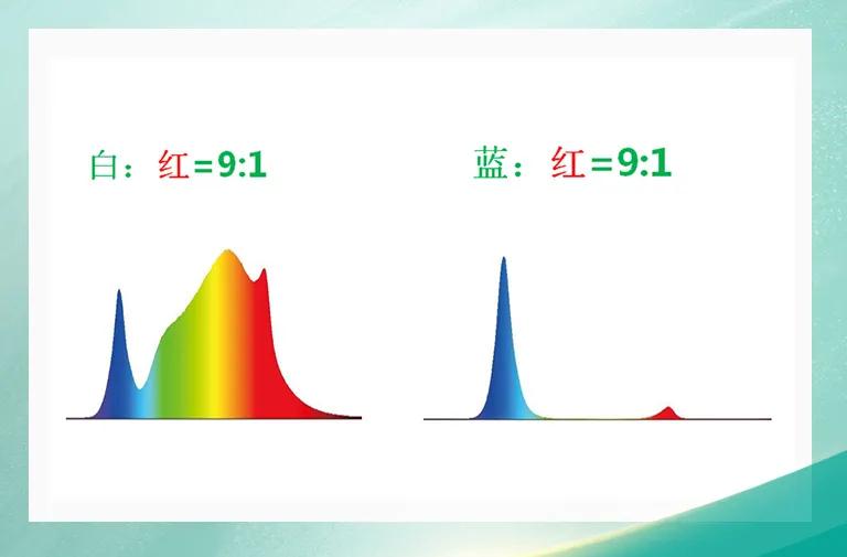 Z6尊龙官方网站(中国优质)股份有限公司