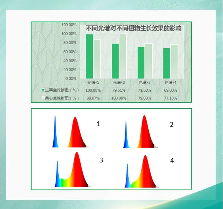 Z6尊龙官方网站(中国优质)股份有限公司