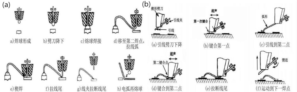 Z6尊龙官方网站(中国优质)股份有限公司