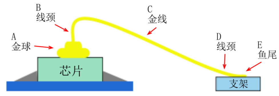 Z6尊龙官方网站(中国优质)股份有限公司