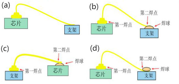 Z6尊龙官方网站(中国优质)股份有限公司