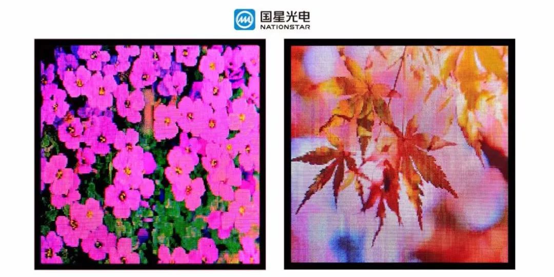 Z6尊龙官方网站(中国优质)股份有限公司